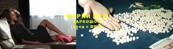 гашик Богородицк