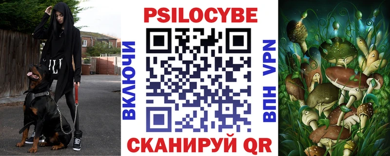 Галлюциногенные грибы Cubensis  Томмот 